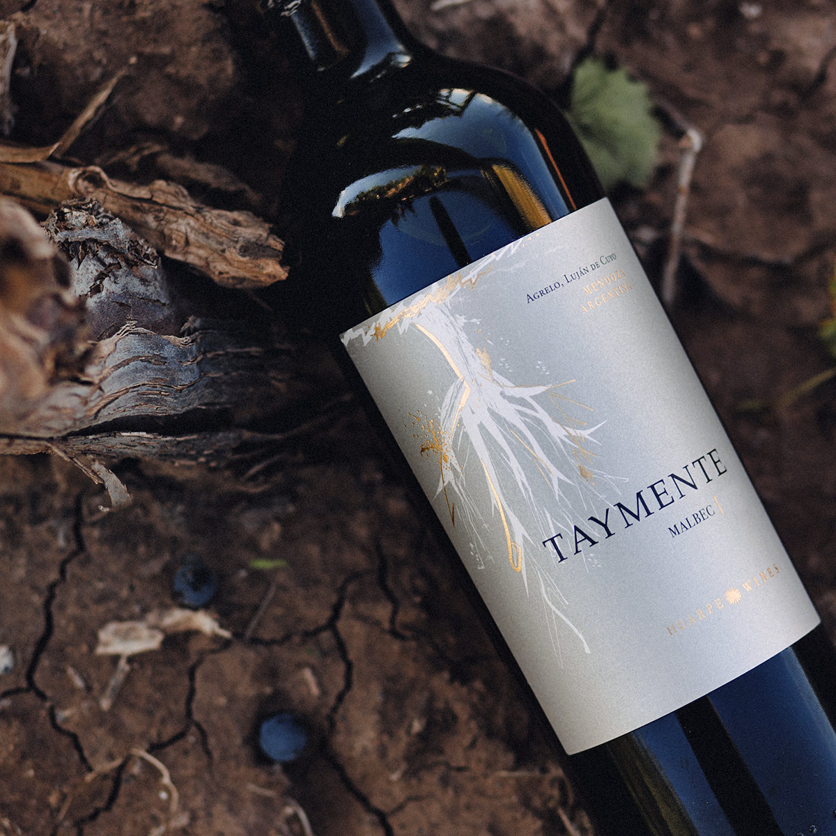 Taymente Malbec - Imagen 2