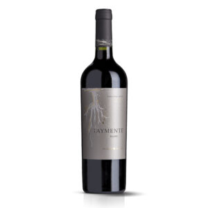 Huarpe Taymente Malbec
