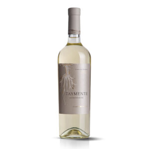 Huarpe Taymente Sauvignon Blanc